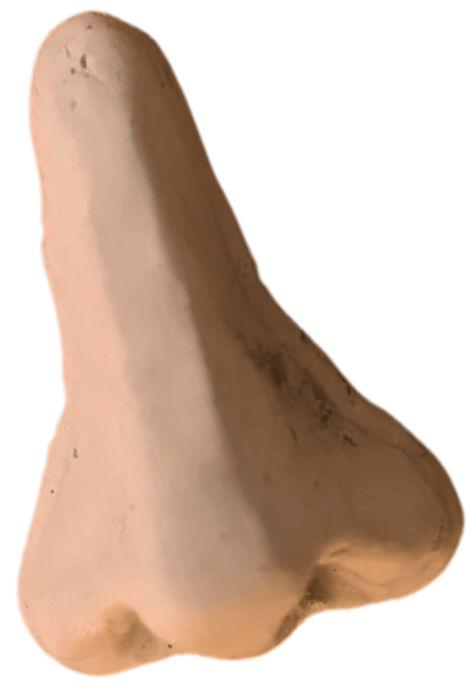 smell